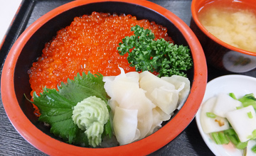 いくら丼