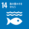 sdgs13